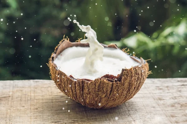 Coconut Milk and Cholesterol on Heart Health