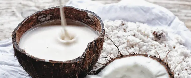 The Benefits of Coconut Milk